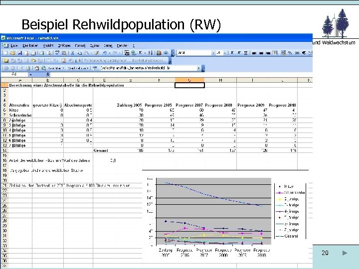 Beispiel Rehwildpopulation (RW) Abteilung Ökoinformatik. Biometrie und Waldwachstum 20 