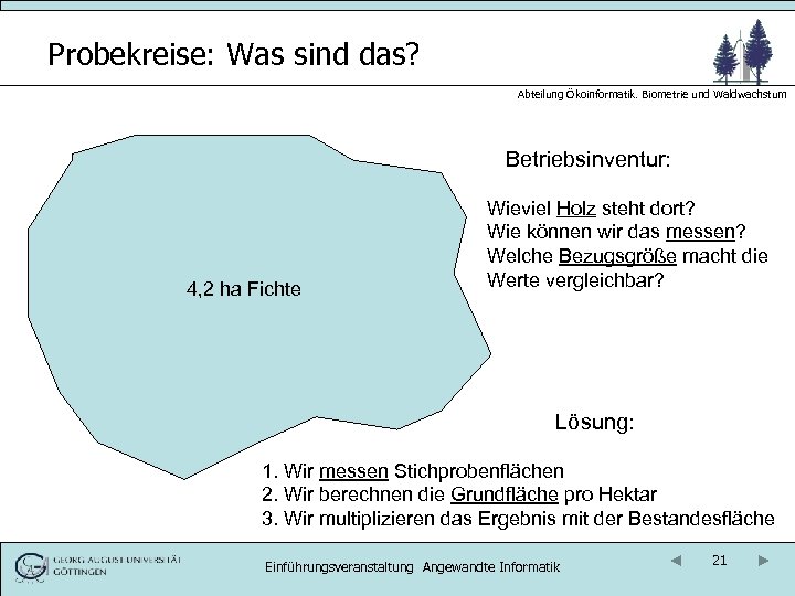 Probekreise: Was sind das? Abteilung Ökoinformatik. Biometrie und Waldwachstum Betriebsinventur: 4, 2 ha Fichte