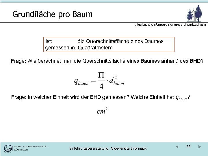 Grundfläche pro Baum Abteilung Ökoinformatik. Biometrie und Waldwachstum Ist: die Querschnittsfläche eines Baumes gemessen