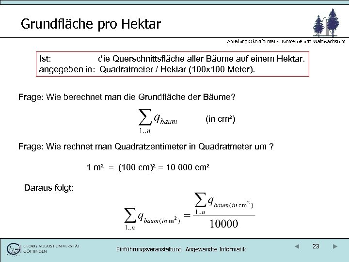 Grundfläche pro Hektar Abteilung Ökoinformatik. Biometrie und Waldwachstum Ist: die Querschnittsfläche aller Bäume auf