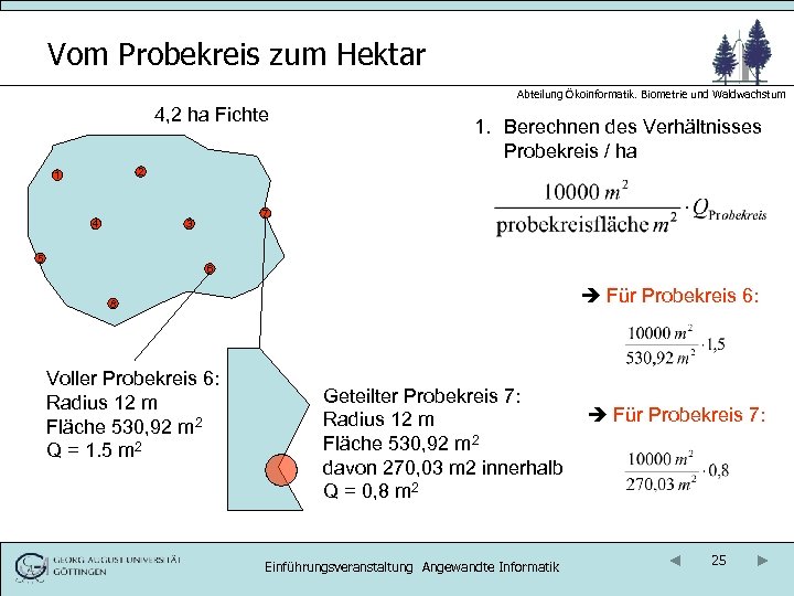 Vom Probekreis zum Hektar Abteilung Ökoinformatik. Biometrie und Waldwachstum 4, 2 ha Fichte 1.