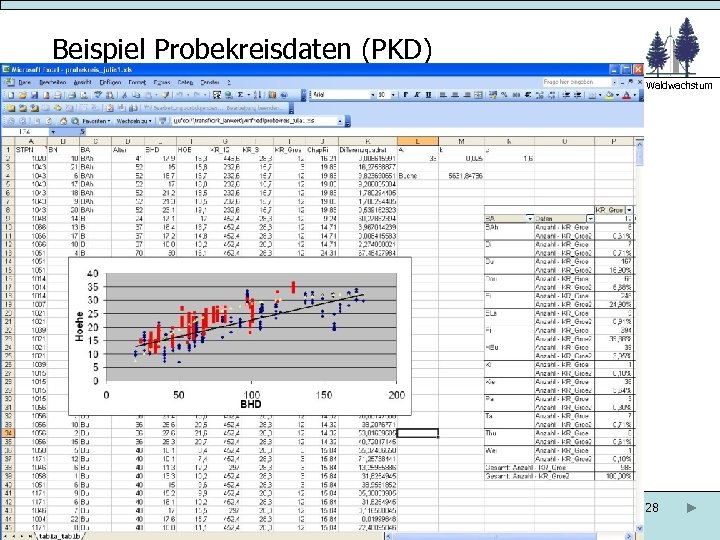 Beispiel Probekreisdaten (PKD) Abteilung Ökoinformatik. Biometrie und Waldwachstum 28 