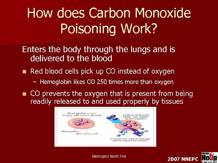 How does Carbon Monoxide Poisoning Work? Enters the body through the lungs and is