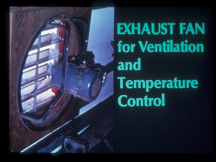 Exhaust Fan for Ventilation and Temperature Control 