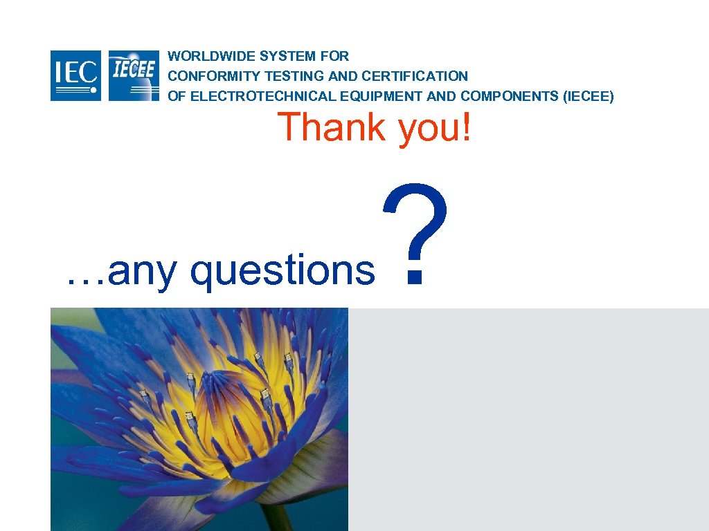 WORLDWIDE SYSTEM FOR CONFORMITY TESTING AND CERTIFICATION OF ELECTROTECHNICAL EQUIPMENT AND COMPONENTS (IECEE) Thank