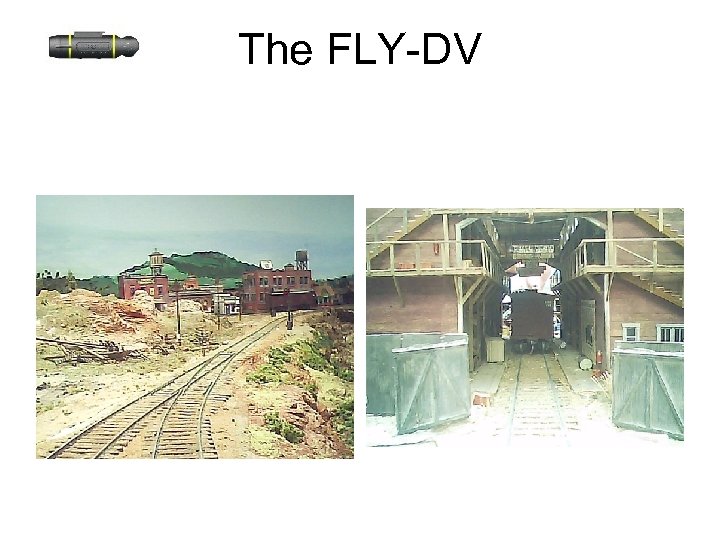 The FLY-DV 