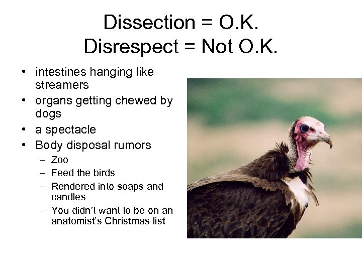 Dissection = O. K. Disrespect = Not O. K. • intestines hanging like streamers