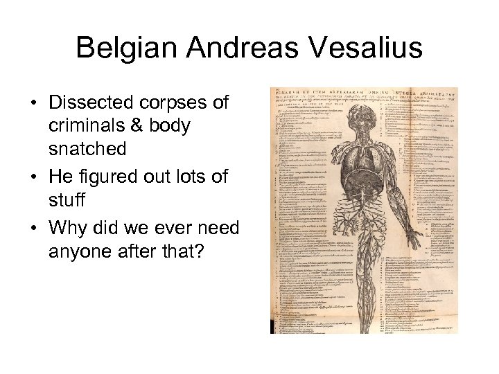 Belgian Andreas Vesalius • Dissected corpses of criminals & body snatched • He figured