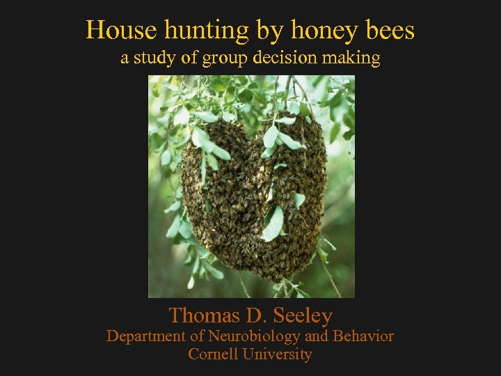 House hunting by honey bees a study of group decision making Thomas D. Seeley