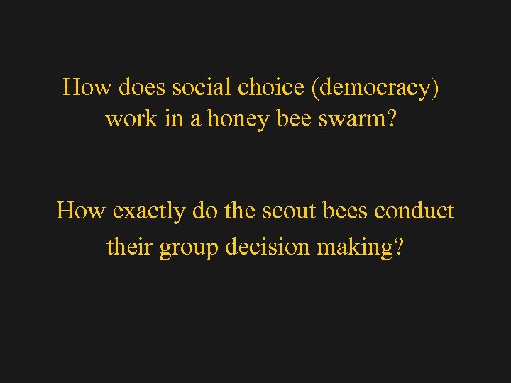 How does social choice (democracy) work in a honey bee swarm? How exactly do