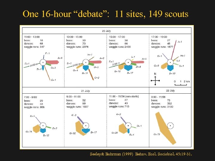 One 16 -hour “debate”: 11 sites, 149 scouts Seeley& Buhrman (1999) Behav. Ecol. Sociobiol.