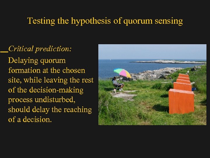 Testing the hypothesis of quorum sensing Critical prediction: Delaying quorum formation at the chosen