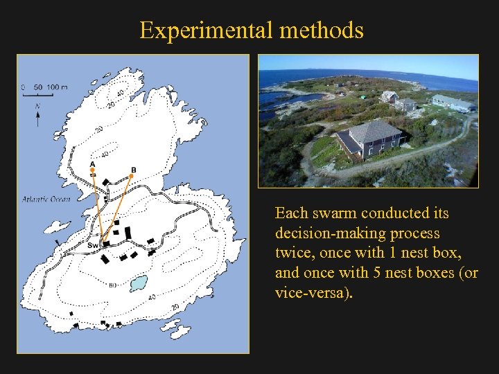 Experimental methods Each swarm conducted its decision-making process twice, once with 1 nest box,