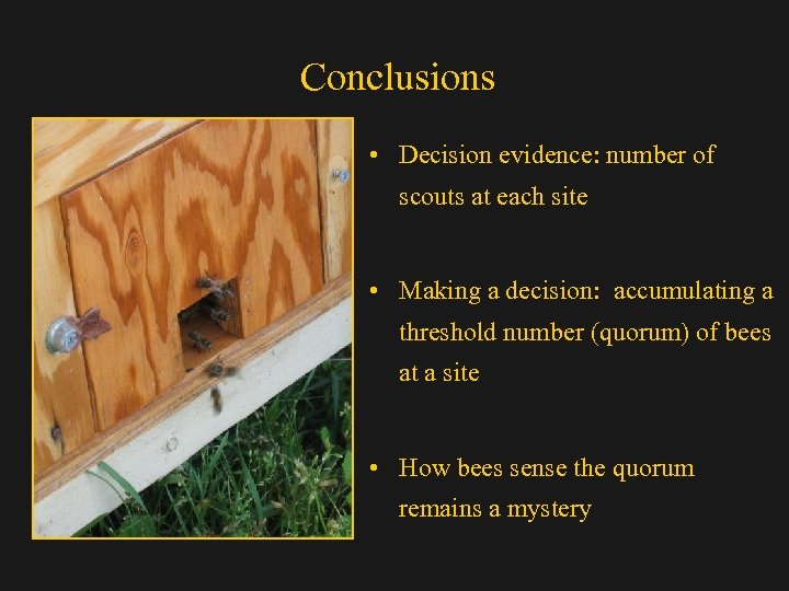 Conclusions • Decision evidence: number of scouts at each site • Making a decision: