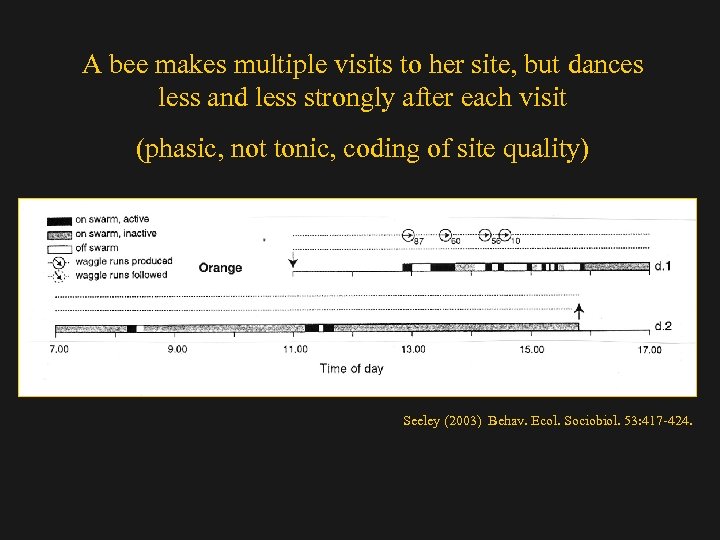 A bee makes multiple visits to her site, but dances less and less strongly