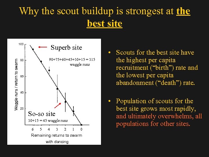 Why the scout buildup is strongest at the best site Superb site 90+75+60+45+30+15 =
