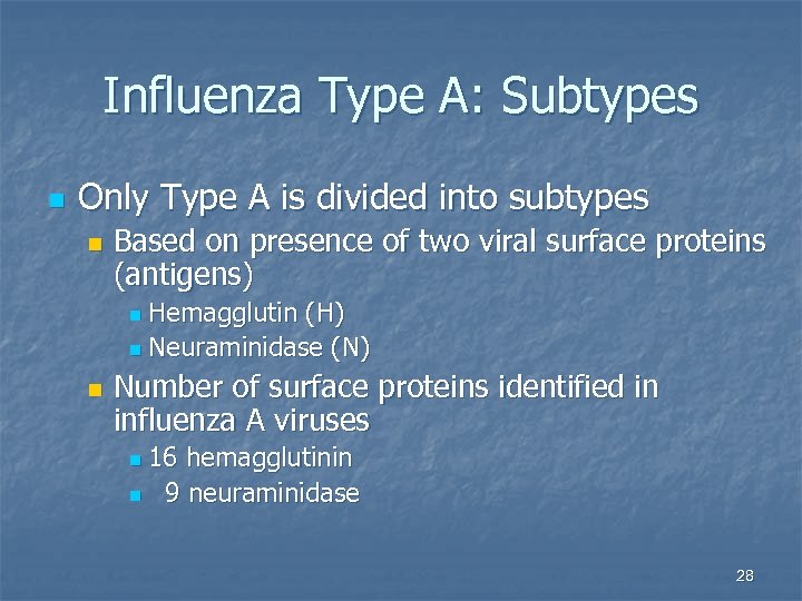 Influenza Type A: Subtypes n Only Type A is divided into subtypes n Based