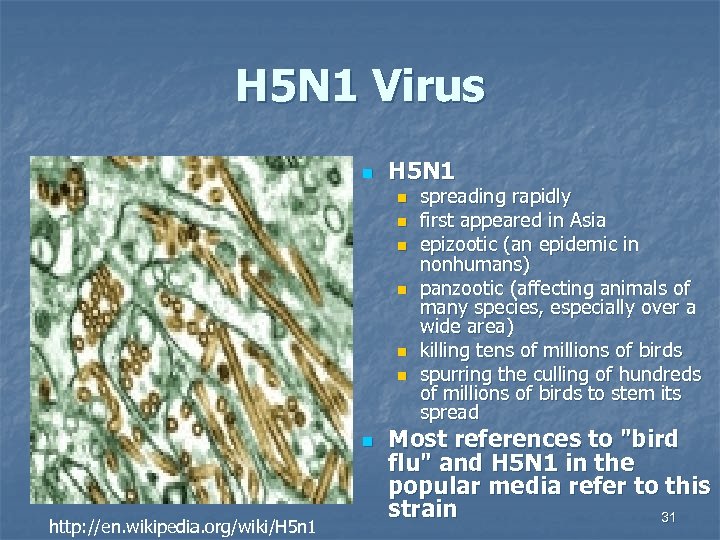 H 5 N 1 Virus n H 5 N 1 n n n n