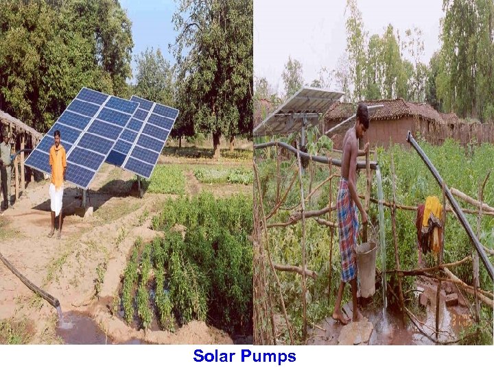Solar Pumps 