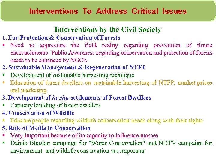 Interventions To Address Critical Issues Interventions by the Civil Society 1. For Protection &