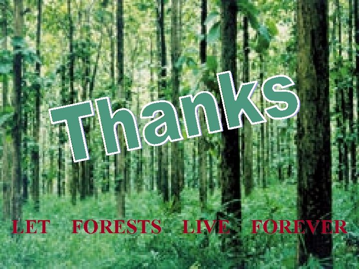 LET FORESTS LIVE FOREVER 