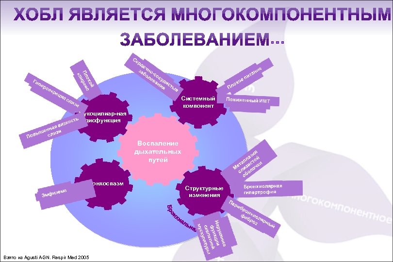 … Системный компонент Мукоцилиар-ная дисфункция Воспаление дыхательных путей Бронхоспазм Взято из Agusti AGN. Respir