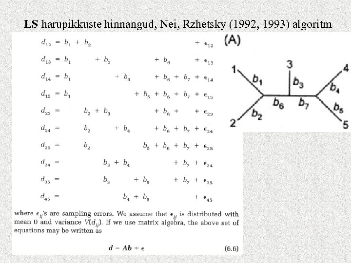 LS harupikkuste hinnangud, Nei, Rzhetsky (1992, 1993) algoritm 