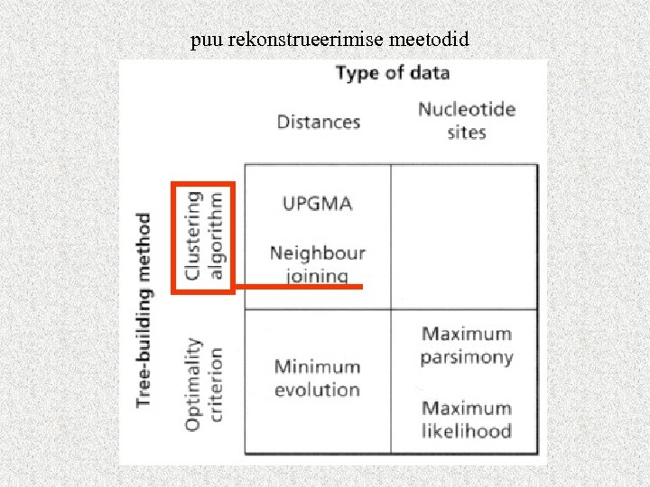 puu rekonstrueerimise meetodid 