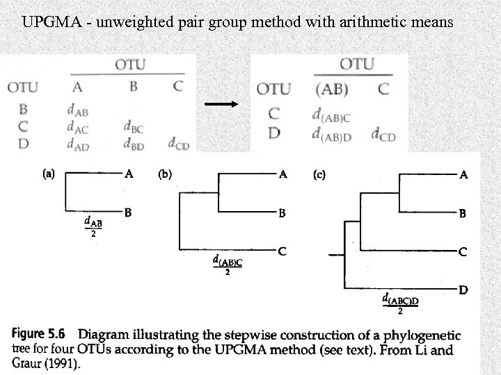 UPGMA - unweighted pair group method with arithmetic means 