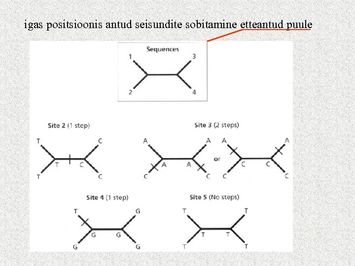 igas positsioonis antud seisundite sobitamine etteantud puule 