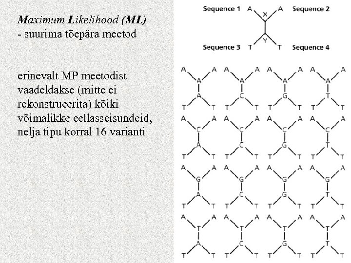 Maximum Likelihood (ML) - suurima tõepära meetod erinevalt MP meetodist vaadeldakse (mitte ei rekonstrueerita)