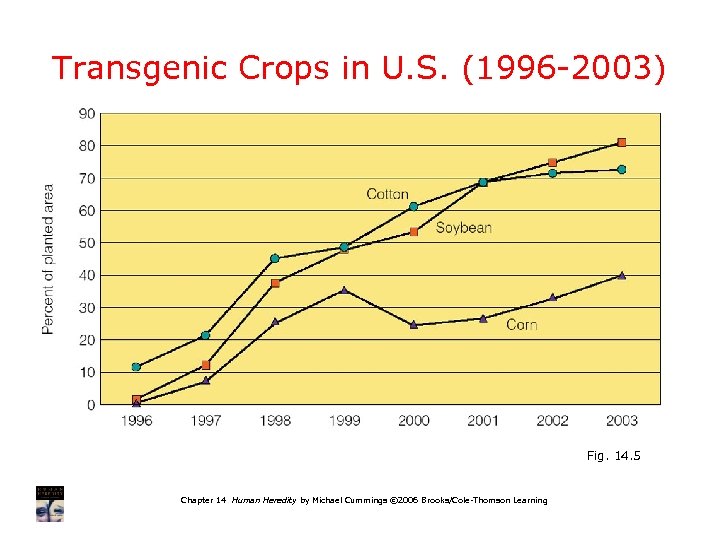 Transgenic Crops in U. S. (1996 -2003) Fig. 14. 5 Chapter 14 Human Heredity
