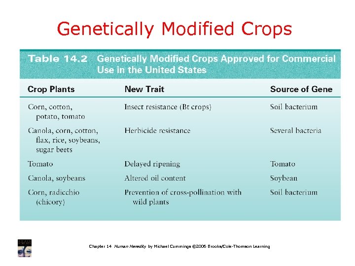 Genetically Modified Crops Chapter 14 Human Heredity by Michael Cummings © 2006 Brooks/Cole-Thomson Learning