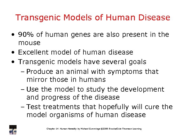 Transgenic Models of Human Disease • 90% of human genes are also present in