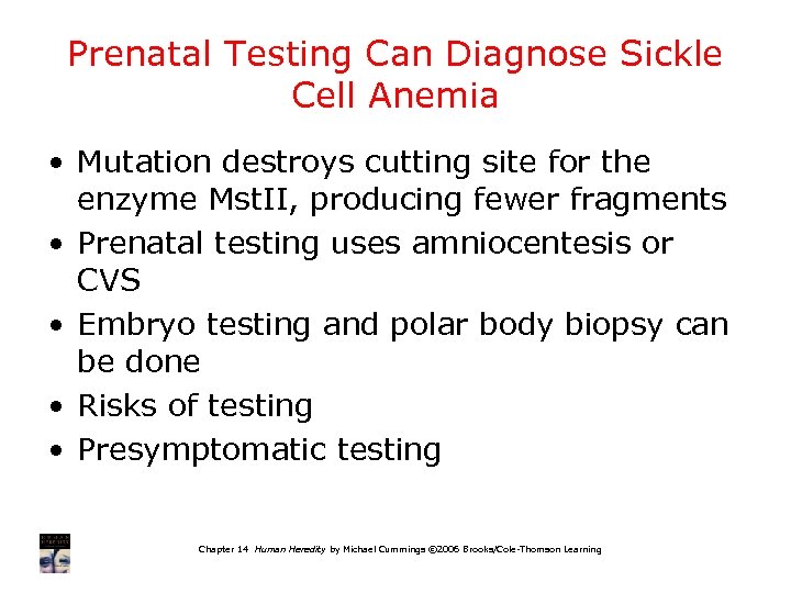 Prenatal Testing Can Diagnose Sickle Cell Anemia • Mutation destroys cutting site for the