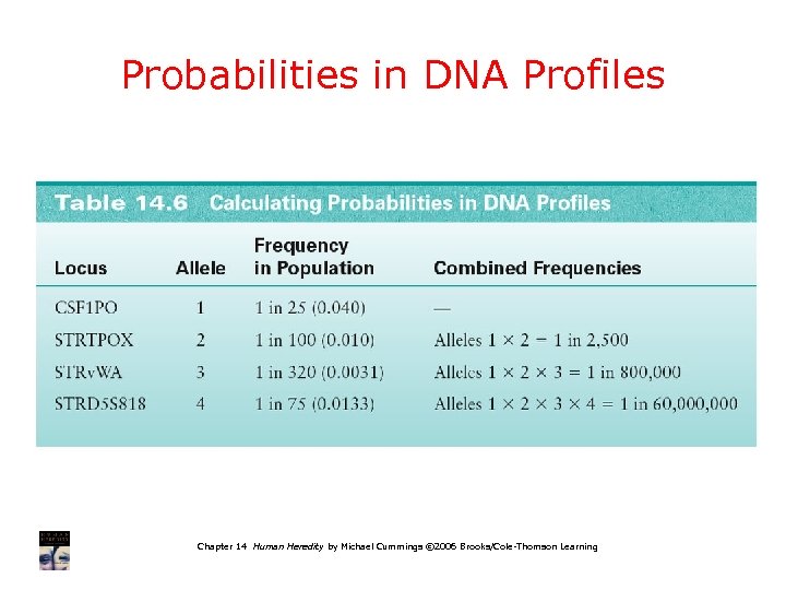Probabilities in DNA Profiles Chapter 14 Human Heredity by Michael Cummings © 2006 Brooks/Cole-Thomson