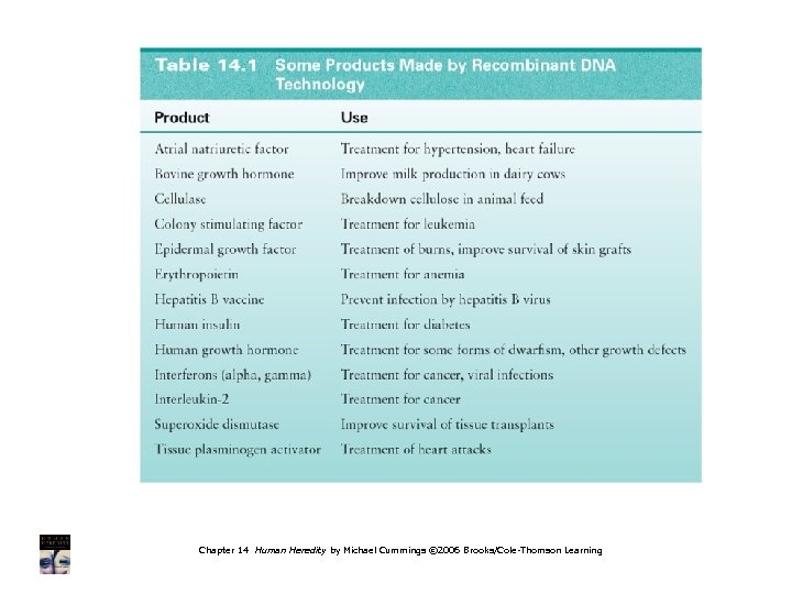 Chapter 14 Human Heredity by Michael Cummings © 2006 Brooks/Cole-Thomson Learning 