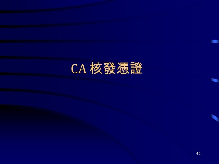CA 核發憑證 43 