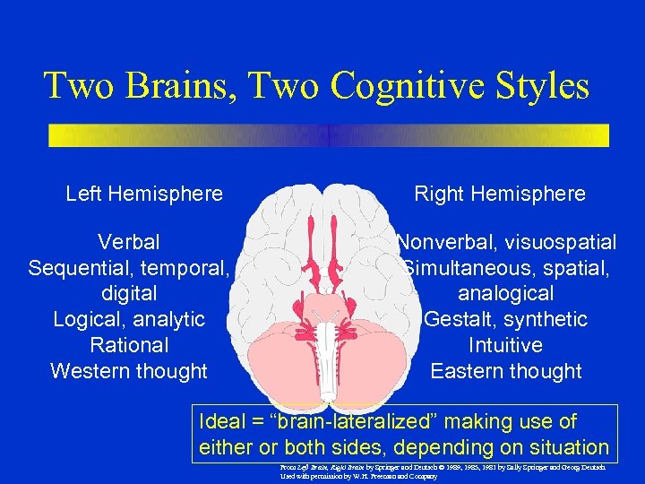 Two Brains, Two Cognitive Styles Left Hemisphere Verbal Sequential, temporal, digital Logical, analytic Rational