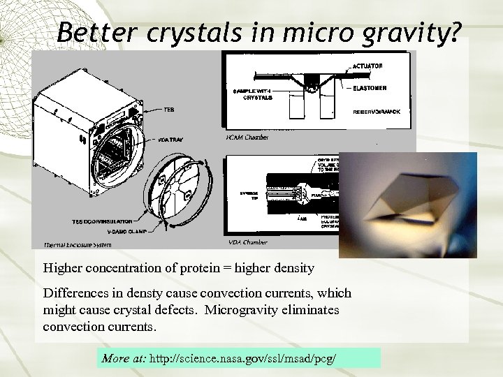 Better crystals in micro gravity? Higher concentration of protein = higher density Differences in