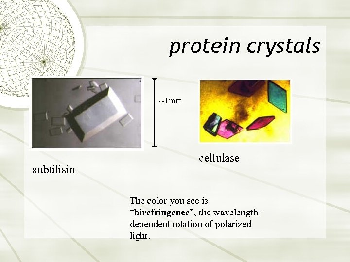 protein crystals ~1 mm subtilisin cellulase The color you see is “birefringence”, the wavelengthdependent