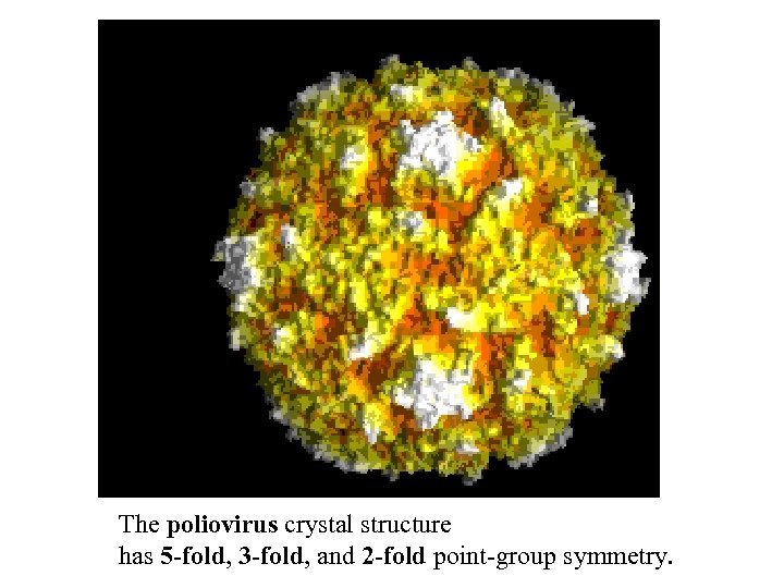 The poliovirus crystal structure has 5 -fold, 3 -fold, and 2 -fold point-group symmetry.