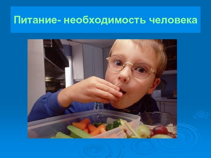 Питание- необходимость человека 