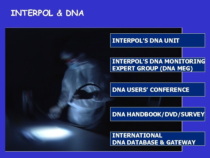 INTERPOL & DNA INTERPOL’S DNA UNIT INTERPOL’S DNA MONITORING EXPERT GROUP (DNA MEG) DNA