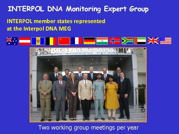 INTERPOL DNA Monitoring Expert Group INTERPOL member states represented at the Interpol DNA MEG