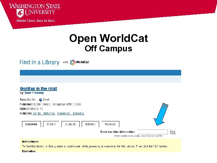 Open World. Cat Off Campus 