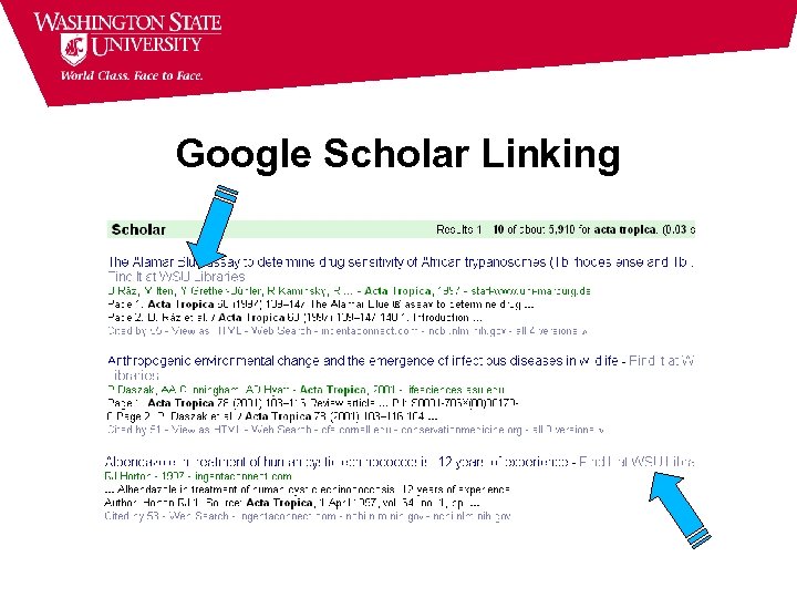 Google Scholar Linking 
