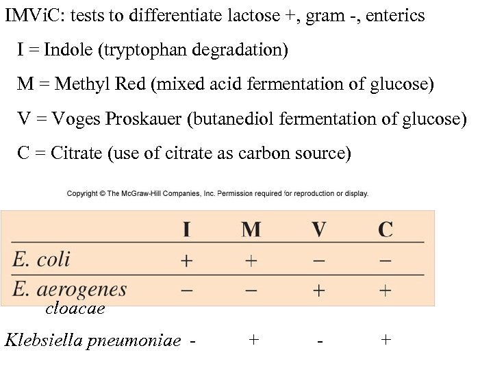 IMVi. C: tests to differentiate lactose +, gram -, enterics I = Indole (tryptophan