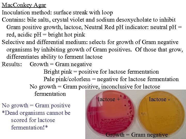 Mac. Conkey Agar Inoculation method: surface streak with loop Contains: bile salts, crystal violet