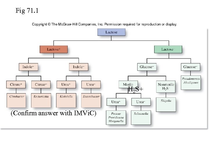 Fig 71. 1 H 2 S+ (Confirm answer with IMVi. C) 